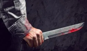 SoPyZbjIsaQr2HOCFNaa 300x176 1