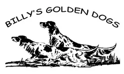 kmp-partners-11-DOGS